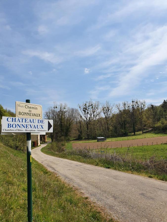 Chateau De Bonnevaux Villeneuve-de-Marc Kültér fotó
